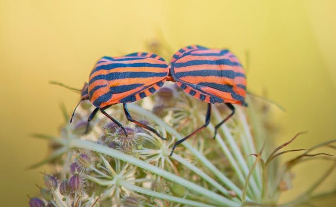 試管嬰兒植入後注意事項，助你迎接新生命的奇蹟時刻！