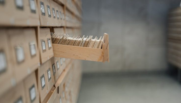 迷你倉:令人驚嘆的空間魔法師