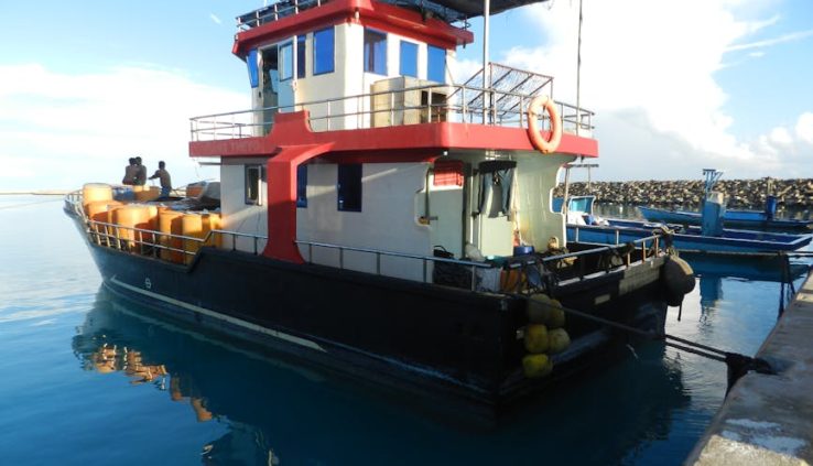 前列腺癌擴散到骨的步驟式解析