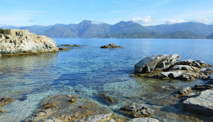 水機香港：城市淨水技術的現狀與挑戰