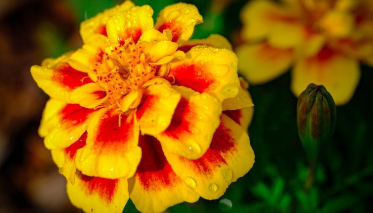 迷你倉：輕鬆整理生活的小幫手