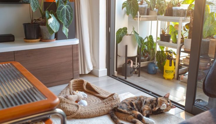 探索服務式公寓的獨特魅力與趣味軼事